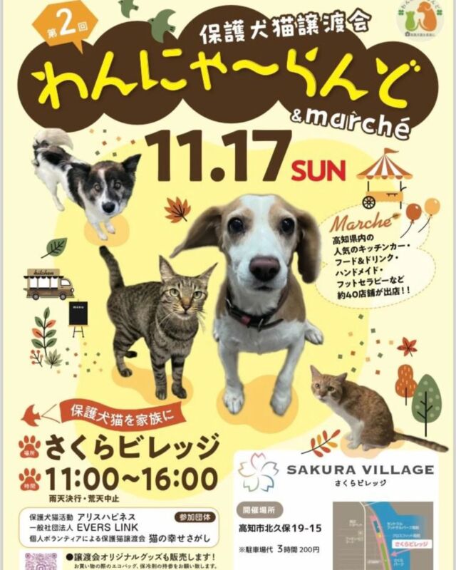 【わんにゃーらんど&マルシェ】
2024.11.17(sun) 11:00～

保護犬猫譲渡会🐶🐱
キッチンカーもあるよ🚚🪑🌳

ペットのいる人もこれからの人もそうでない人もみんな集まれ～\(*ˊᗜˋ*)/‎

 #さくらビレッジ 
 #さくらパーク 
 #犬
 #猫
 #わんにゃーらんど
 #譲渡会
 #キッチンカー
 #週末イベント