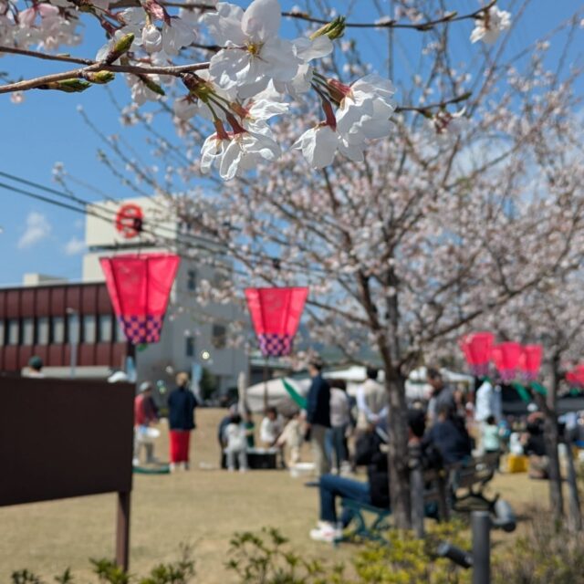 🌸YEELフェス 2日目🌸

とんでもない快晴です🌞🌱
今日も色んなお店が出ています⸜( * ॑꒳ ॑*)⸝💕

美味しかったです😋

出し物もまだまだあるので、ぜひ遊びに来てくださいね～🤗🍡✨

 #さくらビレッジ 
 #さくらパーク 
 #YEELフェス
 #フェス
 #高知
 #週末イベント
 #花見
 #花見イベント
 #おでかけ
 #ライブパフォーマンス
 #ダンス
 #グルメ
 #キッチンカー